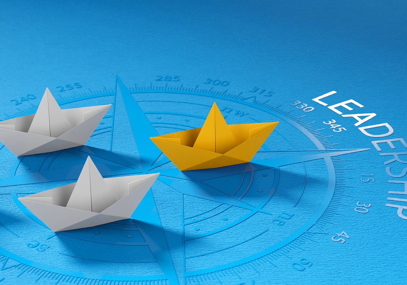 برنامج التدريب